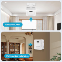 Two-in-One Carbon Monoxide & Smoke Alarm with Digital Display & Sound