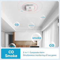 Two-in-One Carbon Monoxide & Smoke Alarm with Digital Display & Sound