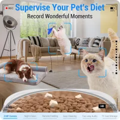 Distributeur Automatique Chat 2K Caméra 5G WiFi & Vision Nuit