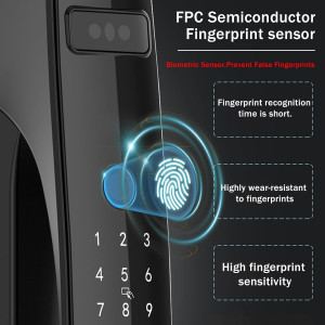 3D Face & Palm Vein Recognition Smart Door Lock with Camera & WiFi