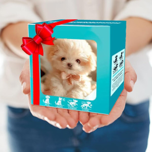 Robot Chien 2025 Nicooo : Puppy Robot Réaliste Blanc