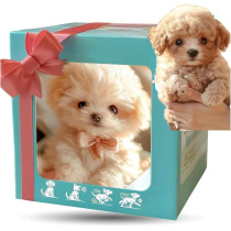 Robot Chien EJV 2025 : Chiot Robotique Réaliste Adulte