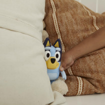 Bluey Cache-Cache : Jeu interactif avec minuteur et chansons