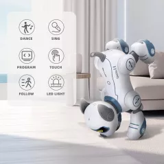 Robot Chien Télécommandé : Jouet Programmable 3-8 Ans