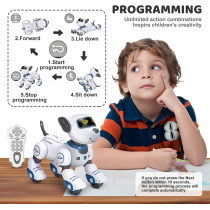 Robot Chien Télécommandé : Jouet Programmable 3-8 Ans