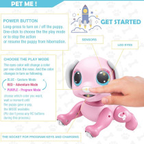 BIRANCO Smart Puppy Toy - Remote Control, Interactive Dog for Kids