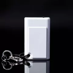Thumby Gris : Mini Console Rétro Programmable - Votre Porte-Clés Geek Ultime !