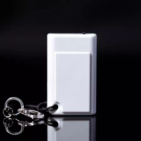 Thumby Gris : Mini Console Rétro Programmable - Votre Porte-Clés Geek Ultime !