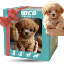 Chien Robot AI Nicoo : Chiot Robot Intelligent et Réaliste