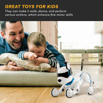 Top Race Rechargeable Robot Dog for Kids 5-7 – Interactive & Programmable