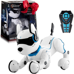 Top Race Rechargeable Robot Dog for Kids 5-7 – Interactive & Programmable