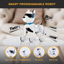 Chien Robot Rechargeable Interactive pour Enfants 5-7 ans
