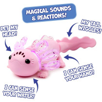 Axolotl interactif Alix avec piscine gonflable et lumières
