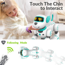 STEMTRON Programmable Remote Control Robot Dog Toy with Music & Touch
