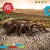 Discovery™ RC Tarantula Spider Toy – Realistic Remote Control Prank Gift