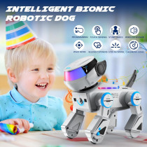 Interactive Robot Dog Toy for Kids – Bluetooth, Dance, LED Eyes (Gray)