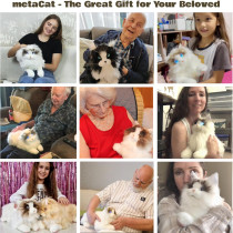 metaCat Persian Interactive Robot Cat with Voice & Heartbeat – Realistic Pet