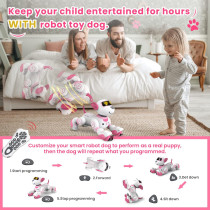 Interactive Robot Dog Toy for Girls Ages 3-7 | Remote Control & AI