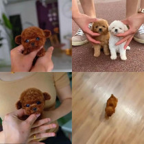 2025 Smart Robot Dog Puppy – Realistic Interactive Plush Pet for Adults