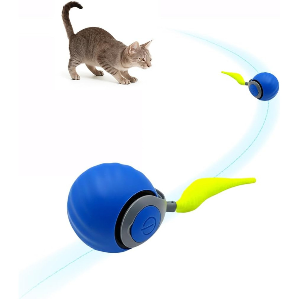 Speedy Ball 2.0 : Jouet interactif pour chats d'intérieur