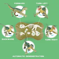 Dino Télécommandé VERTOY - Jouet Velociraptor Lumière & Son