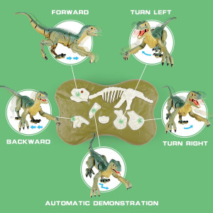 VERTOY Remote Control Velociraptor Toy for Kids with Light & Sound