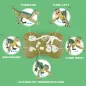 Dino télécommandé VERTOY - Grand Vélociraptor lumineux et sonore, cadeau idéal 3-12 ans