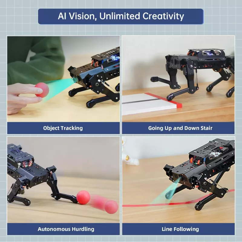 Robot Chien PuppyPi avec ChatGPT AI & Raspberry Pi 5 8GB