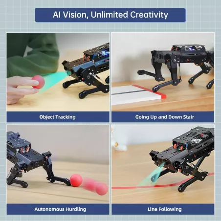 Robot Chien PuppyPi avec ChatGPT AI & Raspberry Pi 5 8GB
