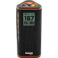 Bushnell Wingman View Golf GPS Speaker with Voice and Bluetooth Connectivity
