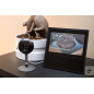 Kasa Cam KC120: Surveillez Votre Intérieur en HD, Audio Bidirectionnel, Alertes Immediates! Kasa Cam KC120: Surveillez Votre Intérieur en HD, Audio Bidirectionnel, Alertes Immediates!