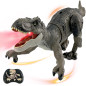 Remote Control T-Rex Dinosaur Toy with Realistic Legs & Spray Stream, Robot Dinosaur Gift for Boys 3-7 Years