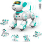 STEMTRON Programmable Interactive RC Robo Dog & Cat with Touch Sensors, LED Eyes, Dance & Music