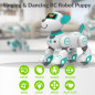 STEMTRON Programmable Interactive RC Robo Dog & Cat with Touch Sensors, LED Eyes, Dance & Music