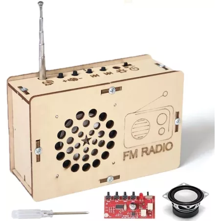 Jouets STEM & Kits Science DIY Radio pour Enfants 5-15 ans