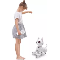 LEXiBOOK Power Kitty® - Robot Chat Télécommandé Programmable