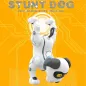 Maître des commandes : ton chien robot parle, danse et t’écoute, pour des moments inoubliables en famille !