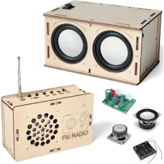 Science en musique : kit radio + haut-parleur DIY, facile, sûr, réel, cadeau idéal pour petits curieux et créatifs
