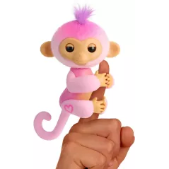 Adoptez Harmony, le singe pop star qui vous suit partout, joue, chante et partage son amour en douceur