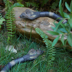 Serpent Télécommandé Réaliste Cobra Jouet Chat Sensoriel
