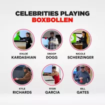 Boxbollen® Boxing Reflex Ball – App-Connected Punch Trainer & Fun Fitness