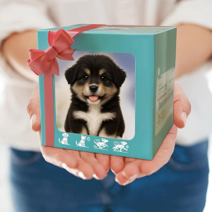 Robot Chien 2025 Nicooo : Chiot Robotique Réaliste Noir