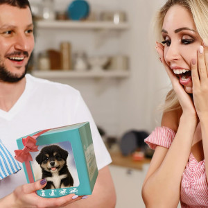 Robot Chien 2025 Nicooo : Chiot Robotique Réaliste Noir