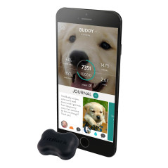 FitBark 2, restez actif avec votre chien !