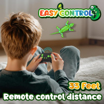 Wall Climbing Remote Control Chameleon Toy for Kids 3-12 with Lights