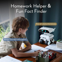 X-Origin YONBO AI Robot: Emotion Detection, Smart Chat & Family Memory
