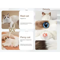 Chat Robot Interactif Chongker - Peluche Ragdoll Réaliste