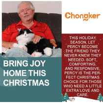 Chongker Black Cat Plush Toy with Voice, Heartbeat & Purring – Interactive