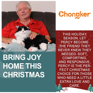 Robot Chat Interactif Chongker, Peluche Noir Réaliste avec Sons