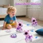 BIRANCO Robot Licorne Télécommandé pour Filles 3-6 Ans, Jouet Interactif STEM et Cadeau Surprise